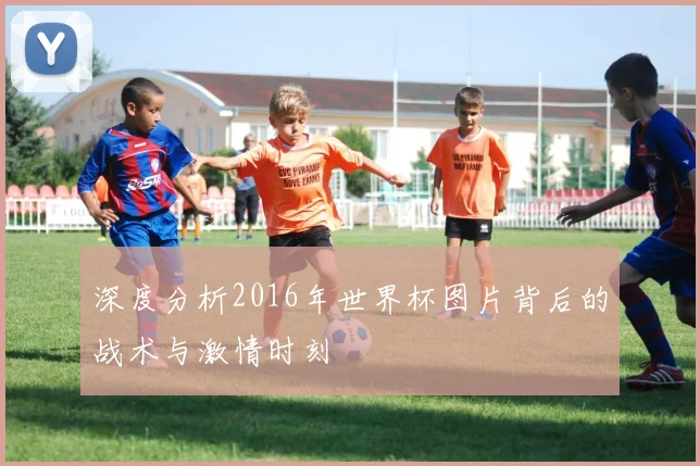 深度分析2016年世界杯图片背后的战术与激情时刻