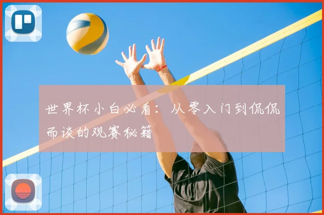 世界杯小白必看:从零入门到侃侃而谈的观赛秘籍