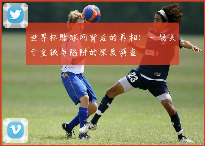 世界杯赌球网背后的真相：一场关于金钱与陷阱的深度调查