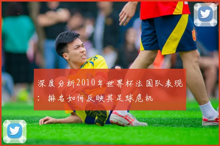 深度分析2010年世界杯法国队表现:排名如何反映其足球危机
