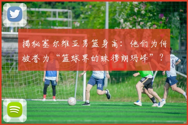 揭秘塞尔维亚男篮身高：他们为何被誉为“篮球界的珠穆朗玛峰”？