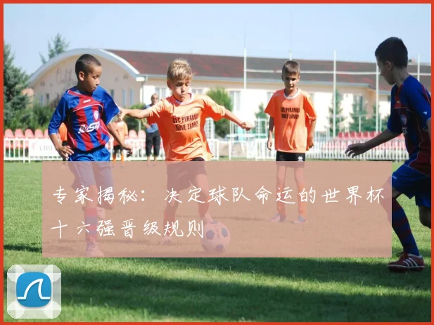 专家揭秘：决定球队命运的世界杯十六强晋级规则