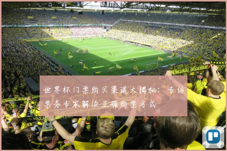 世界杯门票购买渠道大揭秘：专访票务专家解读正确购票方式