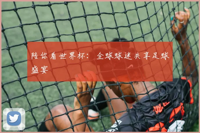陪你看世界杯：全球球迷共享足球盛宴